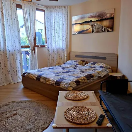 Vins Apartman Banszko